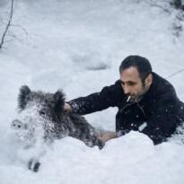 SİNOP’TA YAVRU DOMUZU YAKALAYAN KİŞİYE KESİLEN CEZA İPTAL EDİLDİ