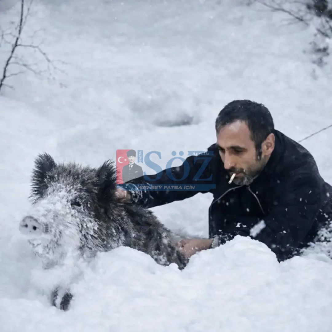 SİNOP’TA YAVRU DOMUZU YAKALAYAN KİŞİYE KESİLEN CEZA İPTAL EDİLDİ