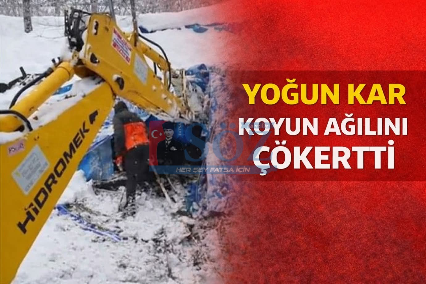 YOĞUN KAR AĞILI ÇÖKERTTİ: KOYUNLAR ENKAZ ALTINDA KALDI