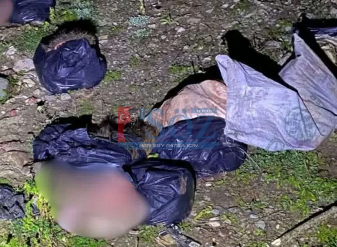 CİVİL DERESİ’NDE ŞÜPHELİ MANZARA!