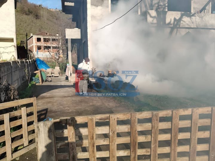 İKİZCE’DE KAHVERENGİ KOKARCAYA KARŞI MÜCADELE SÜRÜYOR