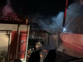 KORGAN’DA AHIR YANGINI :5 HAYVAN TELEF OLDU