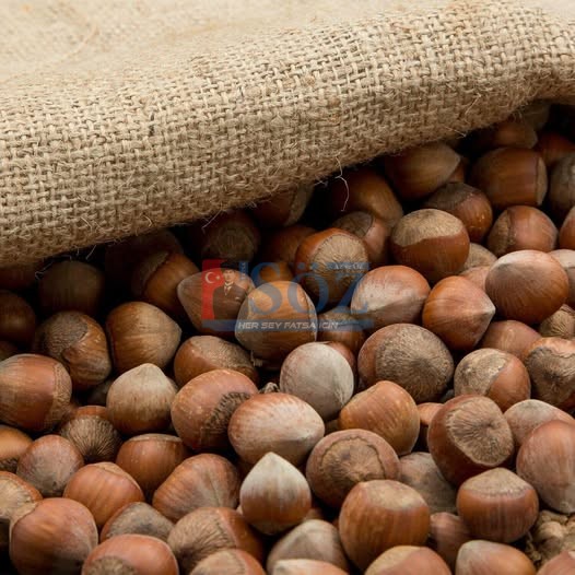 YENİ YILDA FINDIK FİYATLARI YÜKSELİŞTE