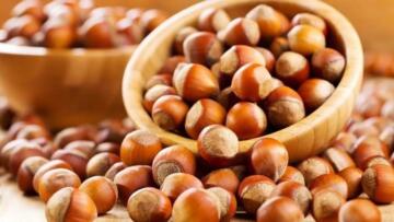 BU HESAPLAMA ÜRETİCİYİ ŞOKE ETTİ : FINDIK MI ALTIN MI ?