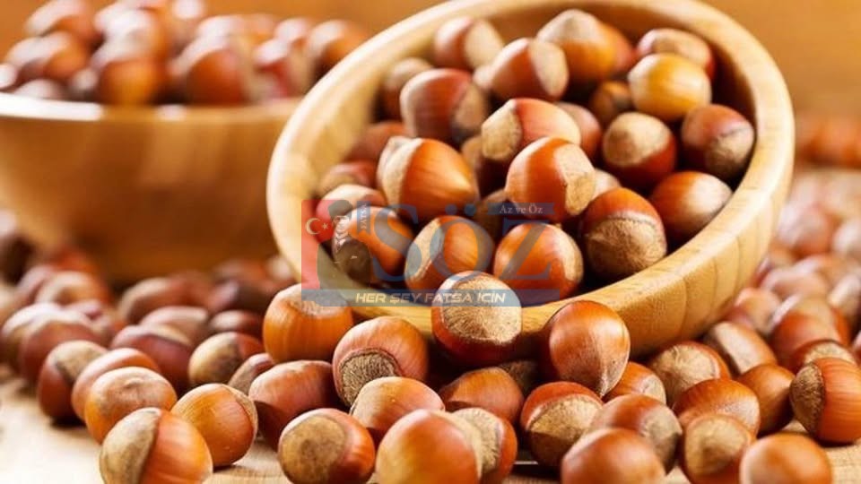 BU HESAPLAMA ÜRETİCİYİ ŞOKE ETTİ : FINDIK MI ALTIN MI ?