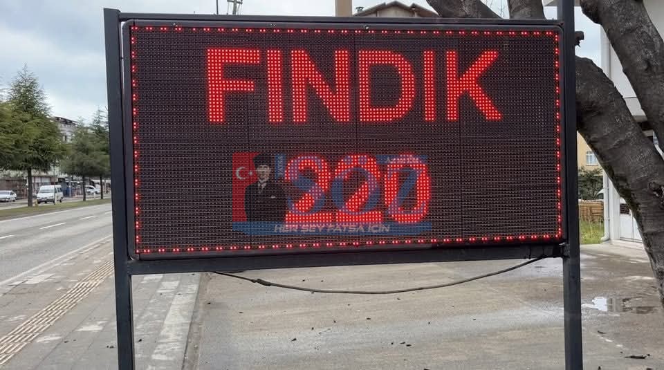 FINDIKTA SERT DÜŞÜŞ:KİLO 220 TL