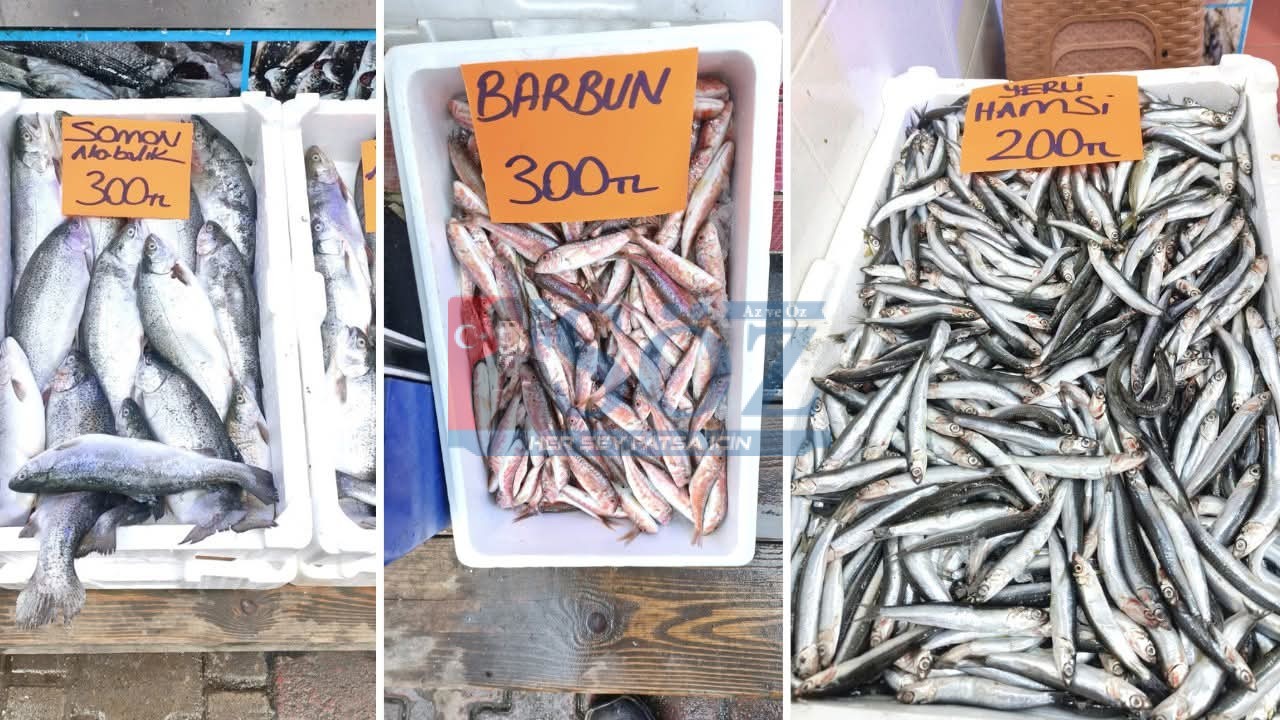 ORDU’DA HAMSİ TEZGÂHLARA GERİ DÖNDÜ