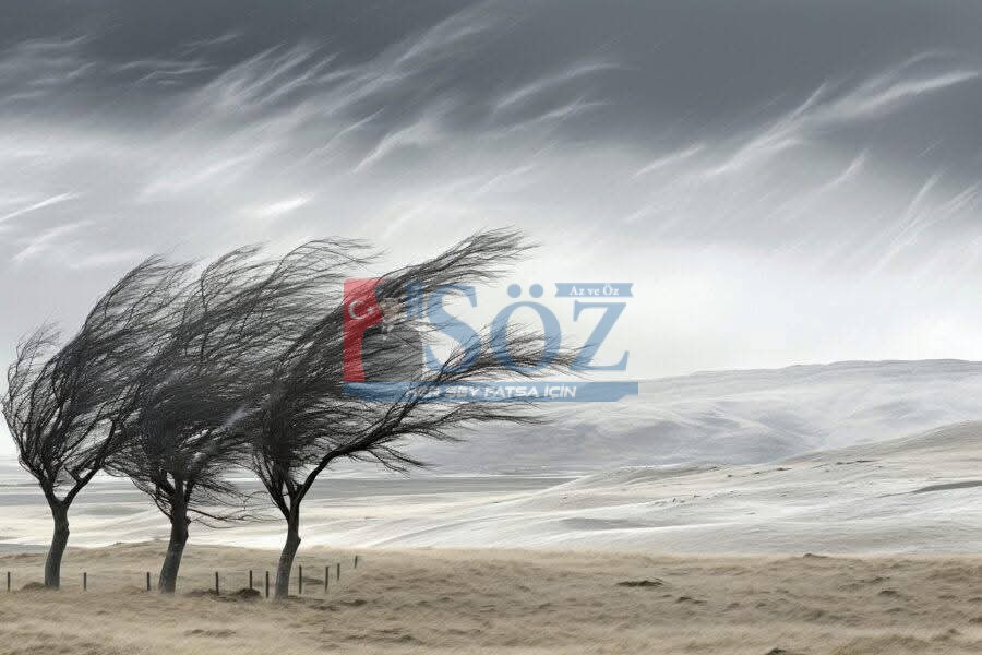 AYBASTI’DA FIRTINA ALARMI:RÜZGARIN HIZI 100 KİLOMETREYE ULAŞTI