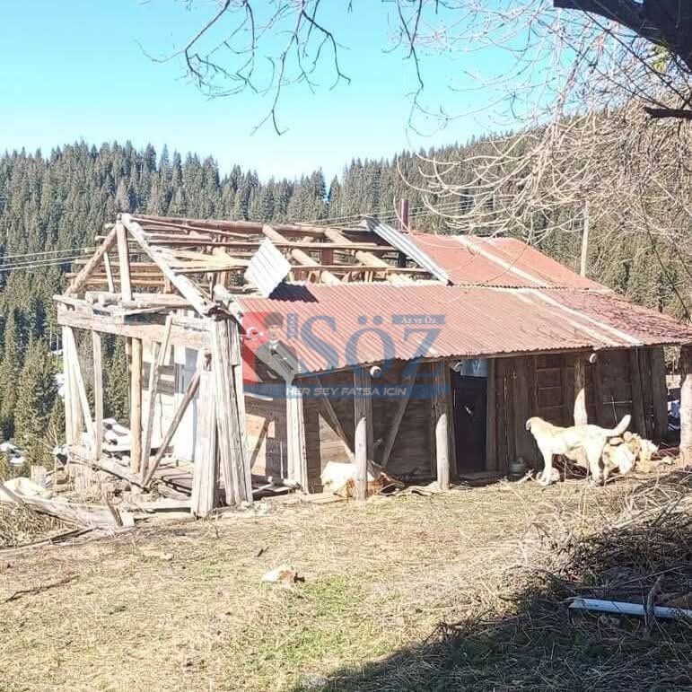 TURNALIK YAYLASI’NDA FIRTINA ÇATILARA ZARAR VERDİ