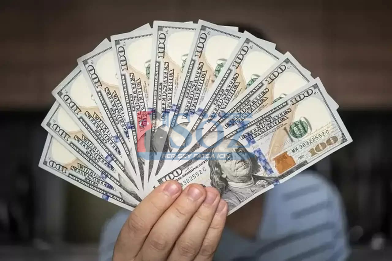 DOLAR/TL 43,84 SEVİYESİNDEN İŞLEM GÖRÜYOR