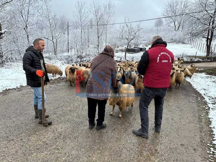 HAYVANCILIK DESTEKLEMELERİNDE DENETİMLER SÜRÜYOR