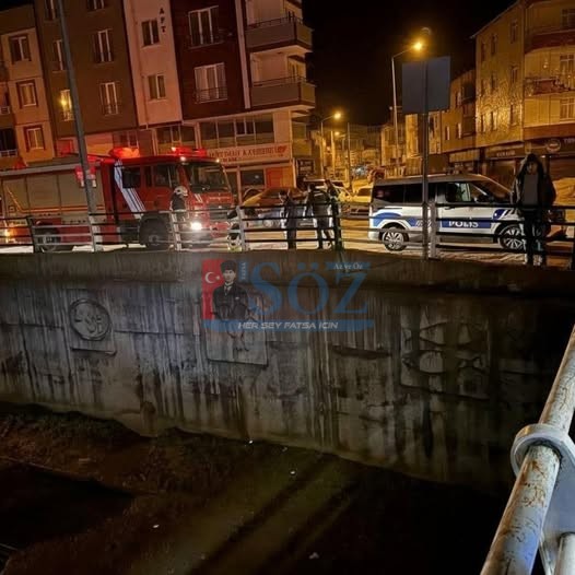 KÖPRÜDEN ATLADI, EKİPLER SEFERBER OLDU