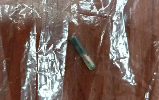 Belediye Aşevinde Skandal: Kavurmadan Yarış Atı Çipi Çıktı