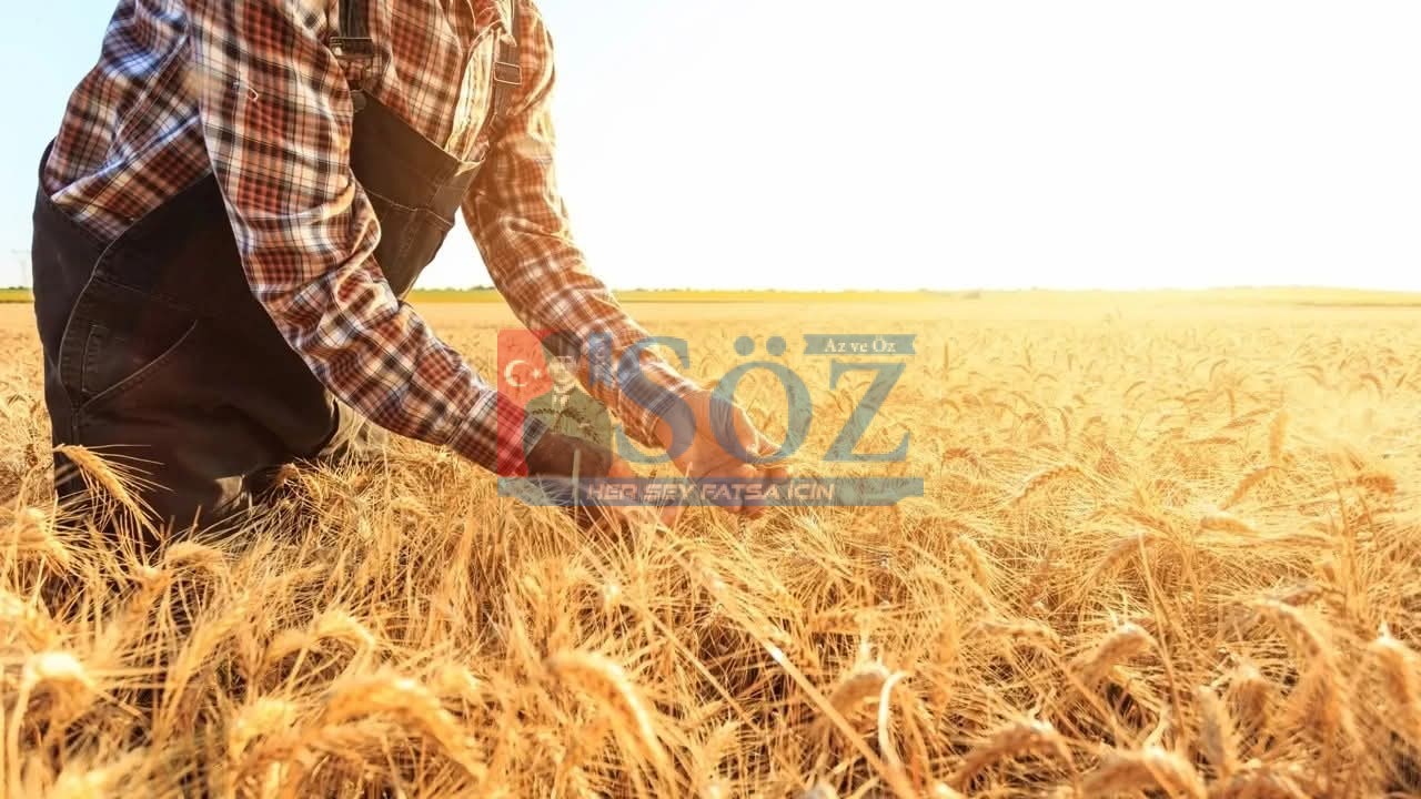 ÇİFTÇİLERE 149,6 MİLYON LİRALIK DESTEKLEME ÖDEMESİ BUGÜN YAPILIYOR