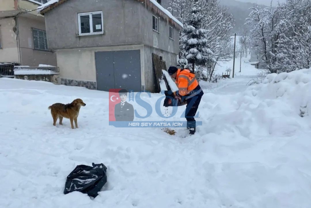 Akkuş’ta Sokak Hayvanlarına Sıcak Dokunuş