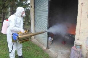 Ordu’da Kokarca ile Mücadele Devam Ediyor