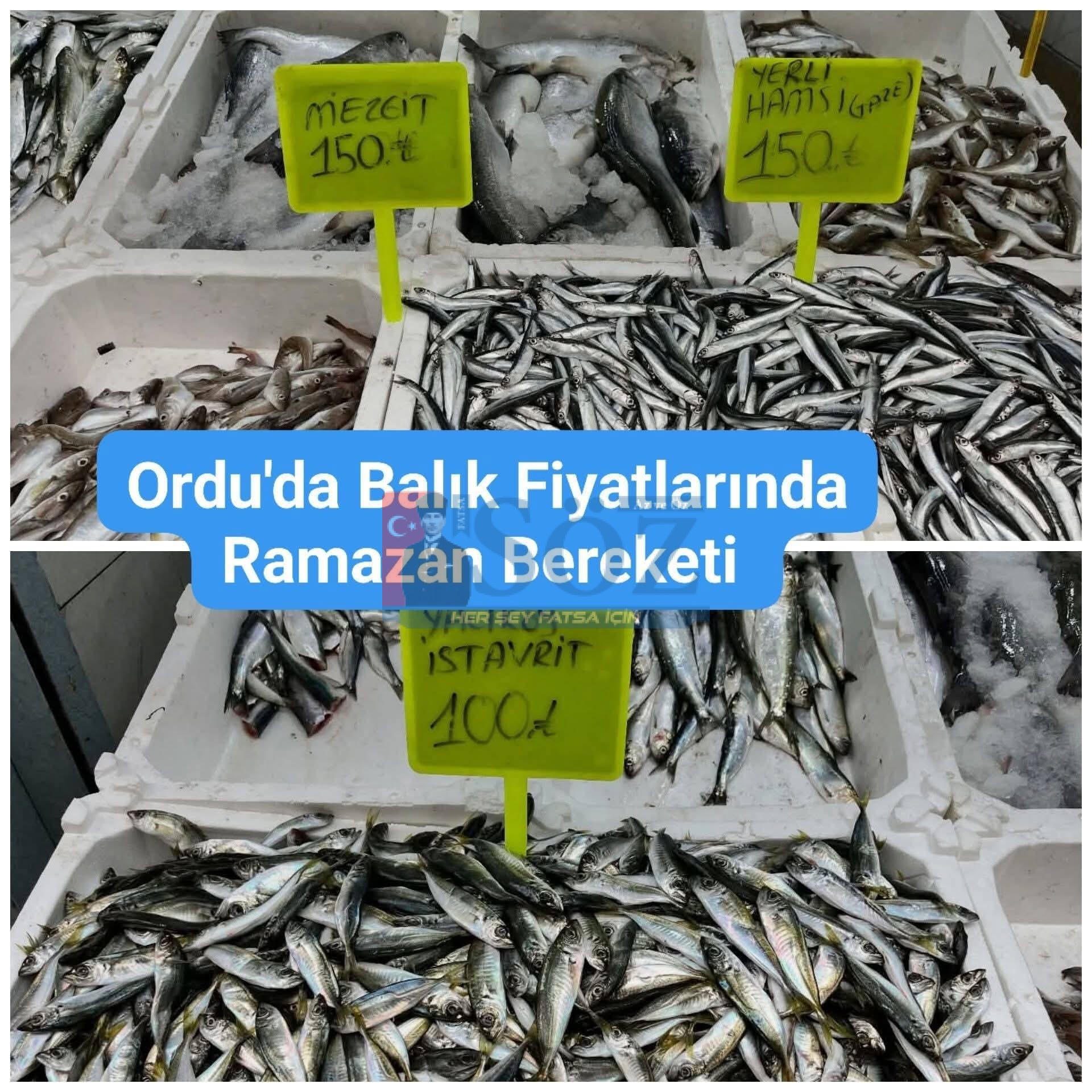 Ordu’da Balık Fiyatları Vatandaşı Sevindirdi