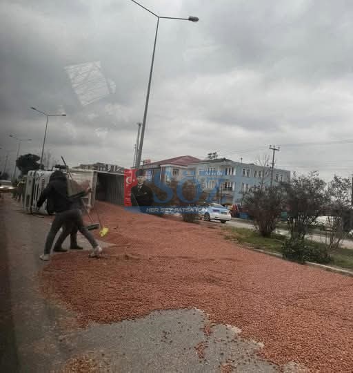 Fındık Yüklü Tır Devrildi