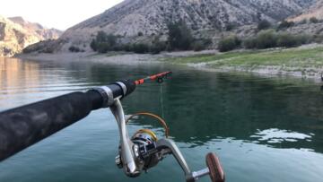 Av Yasağı 1 Nisan’da Başlıyor