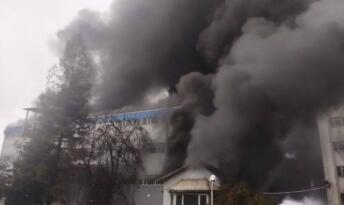 FINDIK FABRİKASINDA YANGIN!