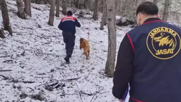 ORMANDA BULUNAN KEMİKLER 2 KADINA AİT ÇIKTI