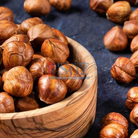 GÜBRE ARTTI, FINDIK FİYATI SABİT KALDI