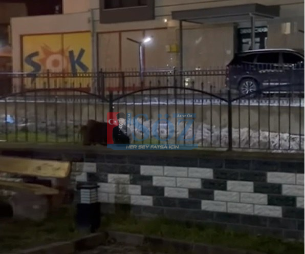 ÜNYE’DE MAHALLEYE DOMUZ İNDİ