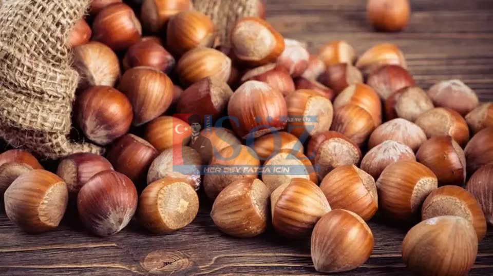 Fındıkta Yeni Sezon Öncesi Rekolte Tahmini Açıklandı