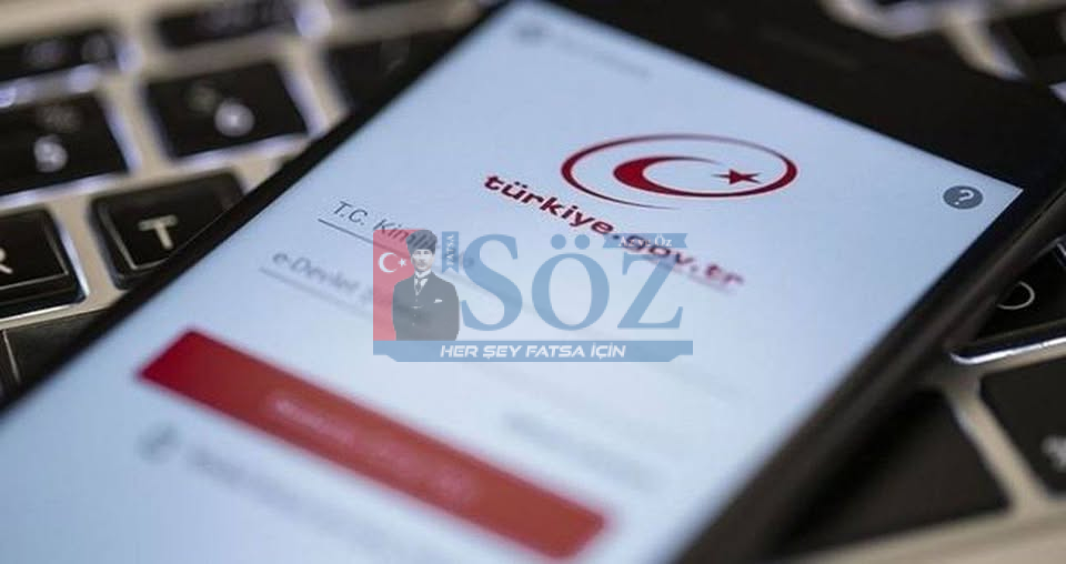 E-Devlet’te Erişim Sorunu