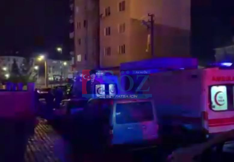 Sivas’ta Aile Faciası: 15 Yaşındaki Çocuk Babası ve Ağabeyini Öldürdü