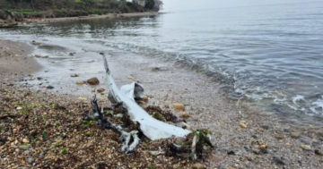 İDA Parçaları Fatsa’ya Ulaştı.