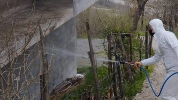 Fatsa’da Kokarcaya Geçit Yok: İlaçlama Çalışmaları Sürüyor