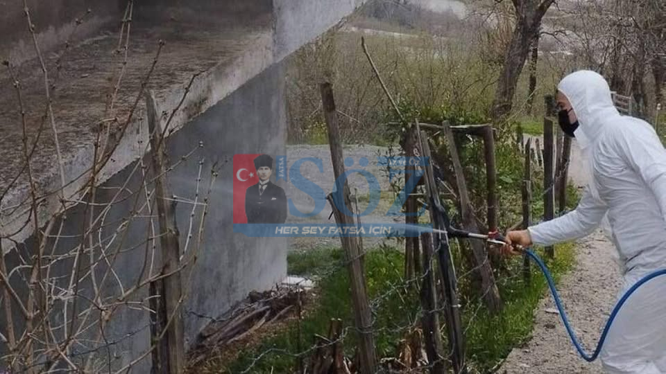 Fatsa’da Kokarcaya Geçit Yok: İlaçlama Çalışmaları Sürüyor