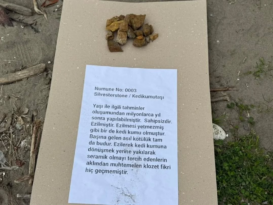 Ünye’de “Moloz Müzesi” Açıldı: Tepki Mizahla Verildi