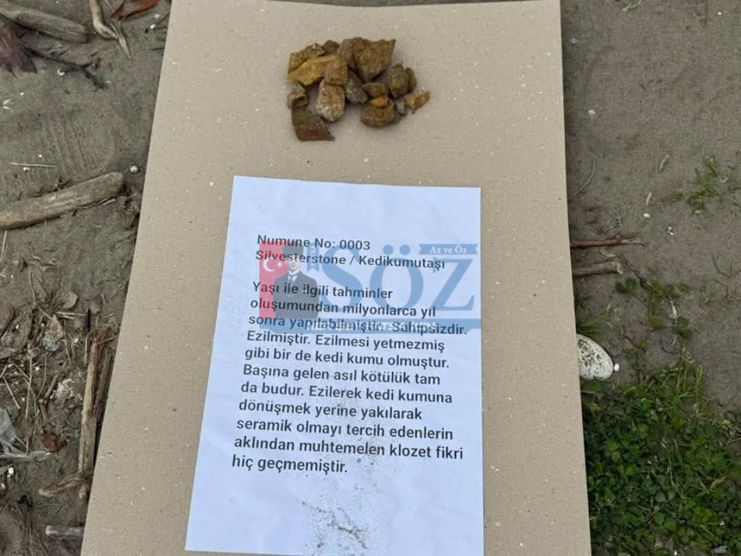 Ünye’de “Moloz Müzesi” Açıldı: Tepki Mizahla Verildi