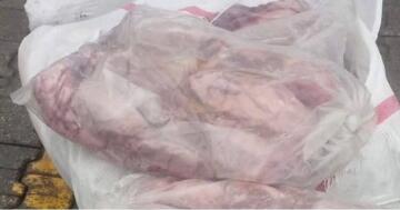 Fatsa Otogarı’nda Kaçak Et Ele Geçirildi