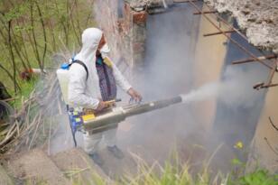 Fatsa’da Kokarca Zararlısına Karşı Mücadele