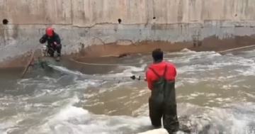 Kabataş’ta Mahsur Kalan Köpek Kurtarıldı