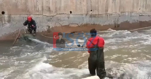 Kabataş’ta Mahsur Kalan Köpek Kurtarıldı