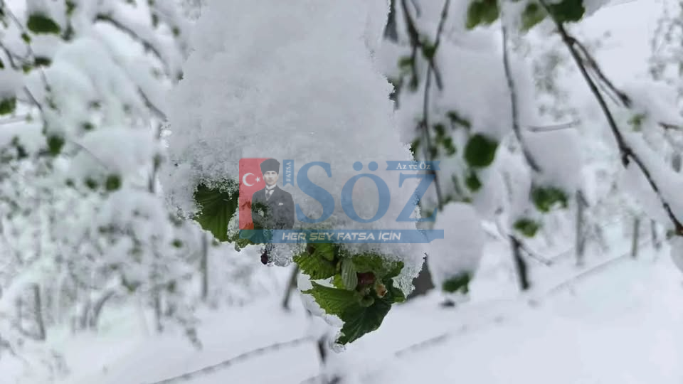 Ordu’da Zirai Don Uyarısı