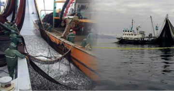 Ordu’da Av Yasağı 15 Nisan’da Başlıyor