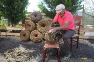 45 Yıllık Usta Doğadan Toplayıp Sepete Dönüştürüyor