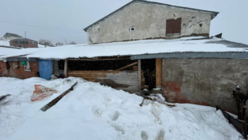 Çambaşı Yaylası’nda Ayı Evlere Girdi