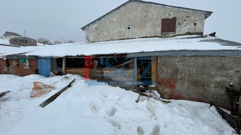 Çambaşı Yaylası’nda Ayı Evlere Girdi